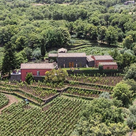Terrazze Dell'Etna - Country Rooms And Apartments ランダッツォ エクステリア 写真