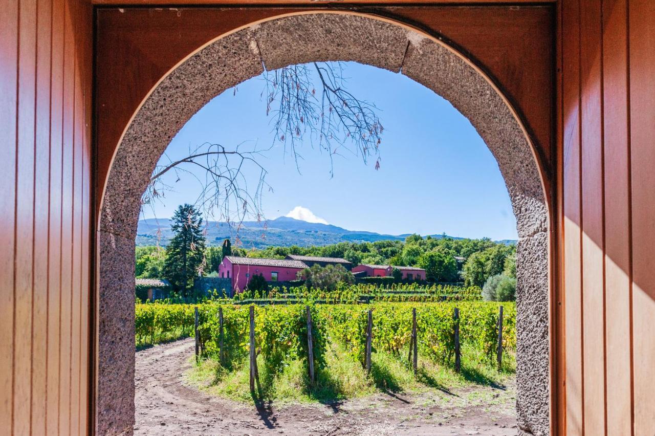 Terrazze Dell'Etna - Country Rooms And Apartments ランダッツォ エクステリア 写真