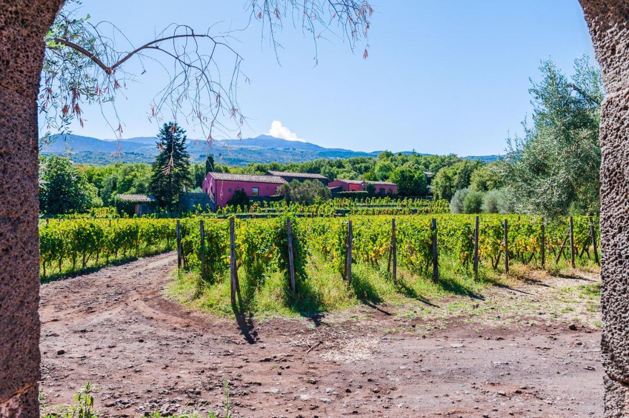 Terrazze Dell'Etna - Country Rooms And Apartments ランダッツォ エクステリア 写真