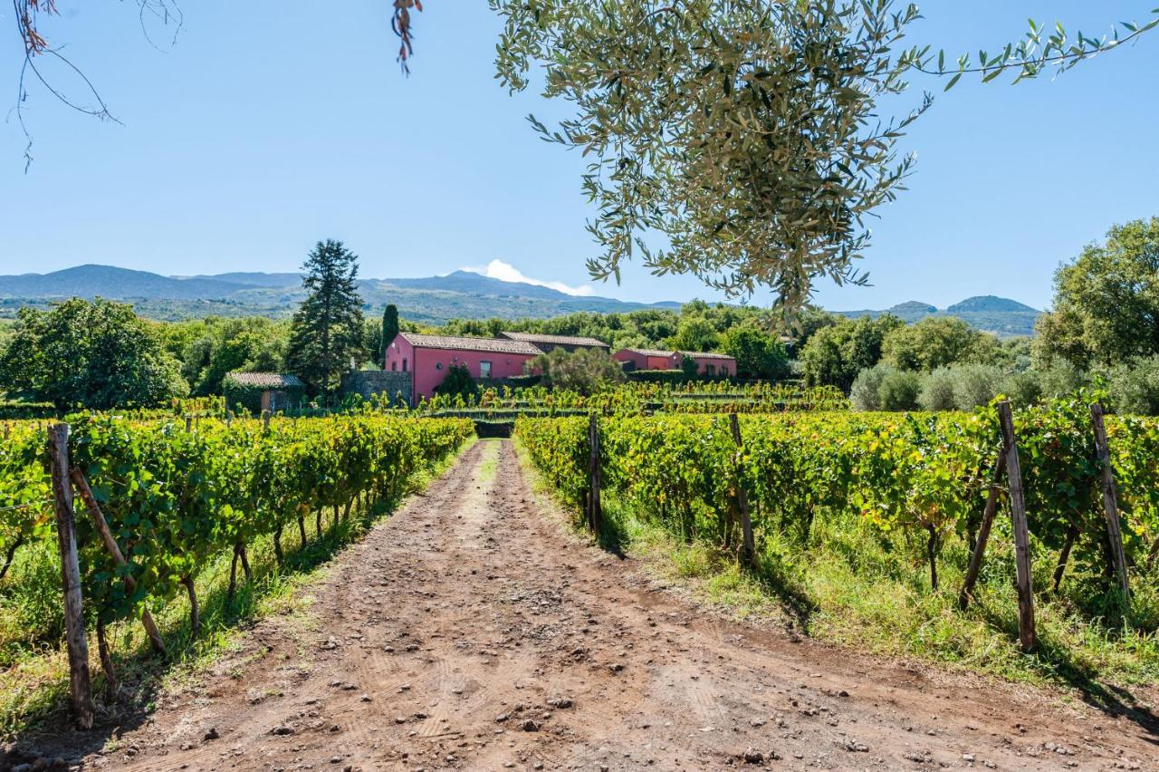 Terrazze Dell'Etna - Country Rooms And Apartments ランダッツォ エクステリア 写真