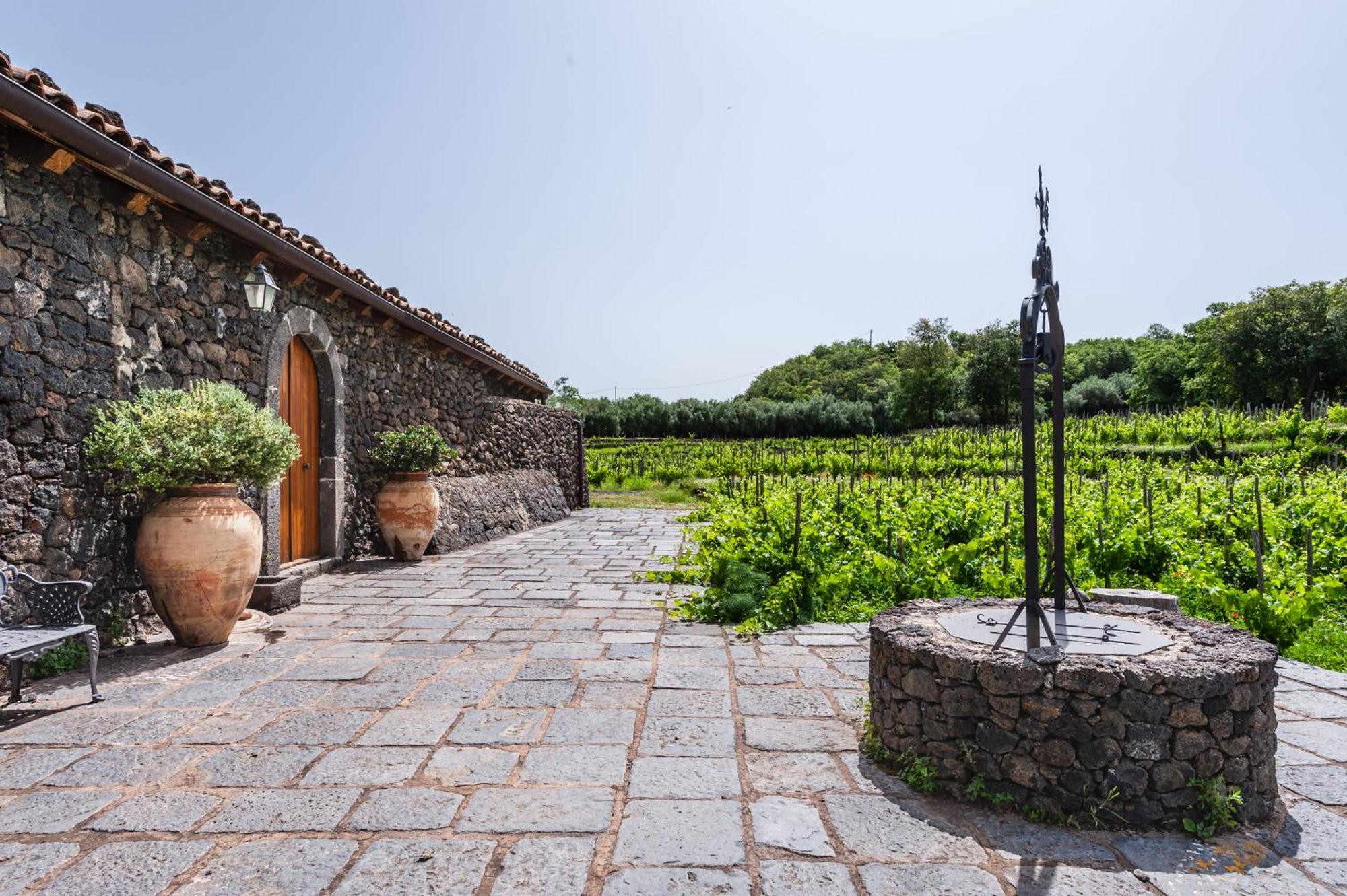 Terrazze Dell'Etna - Country Rooms And Apartments ランダッツォ エクステリア 写真